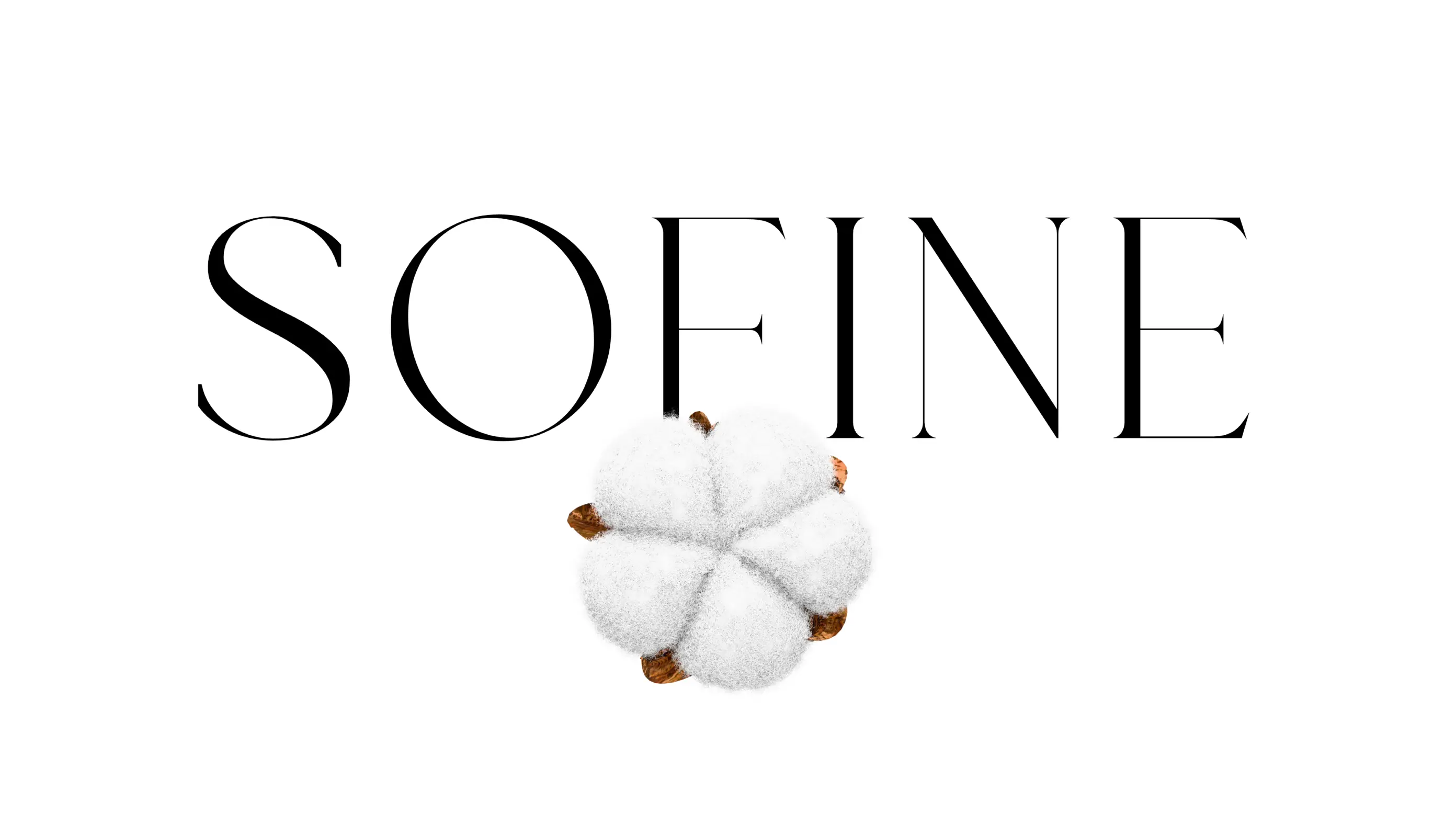 /images/projects/Sofine/Cover.webp